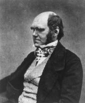 Charles R. Darwin