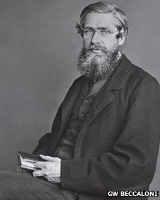 Alfred R. Wallace